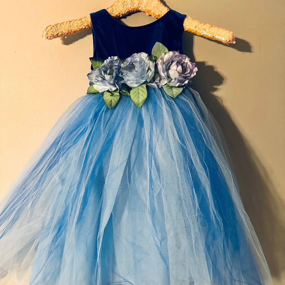 Girls Blue Princess Dress
